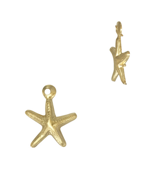 Starfish Charm